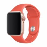 DEVIA Deluxe Series Sport Band (38/40/41mm) Nectarine