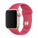 DEVIA Deluxe Series Sport Band (38/40/41mm) Red